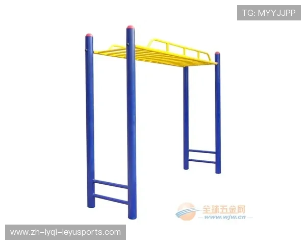 学校体育健身器材推荐与选购指南 学校体育健身器材推荐与选购指南